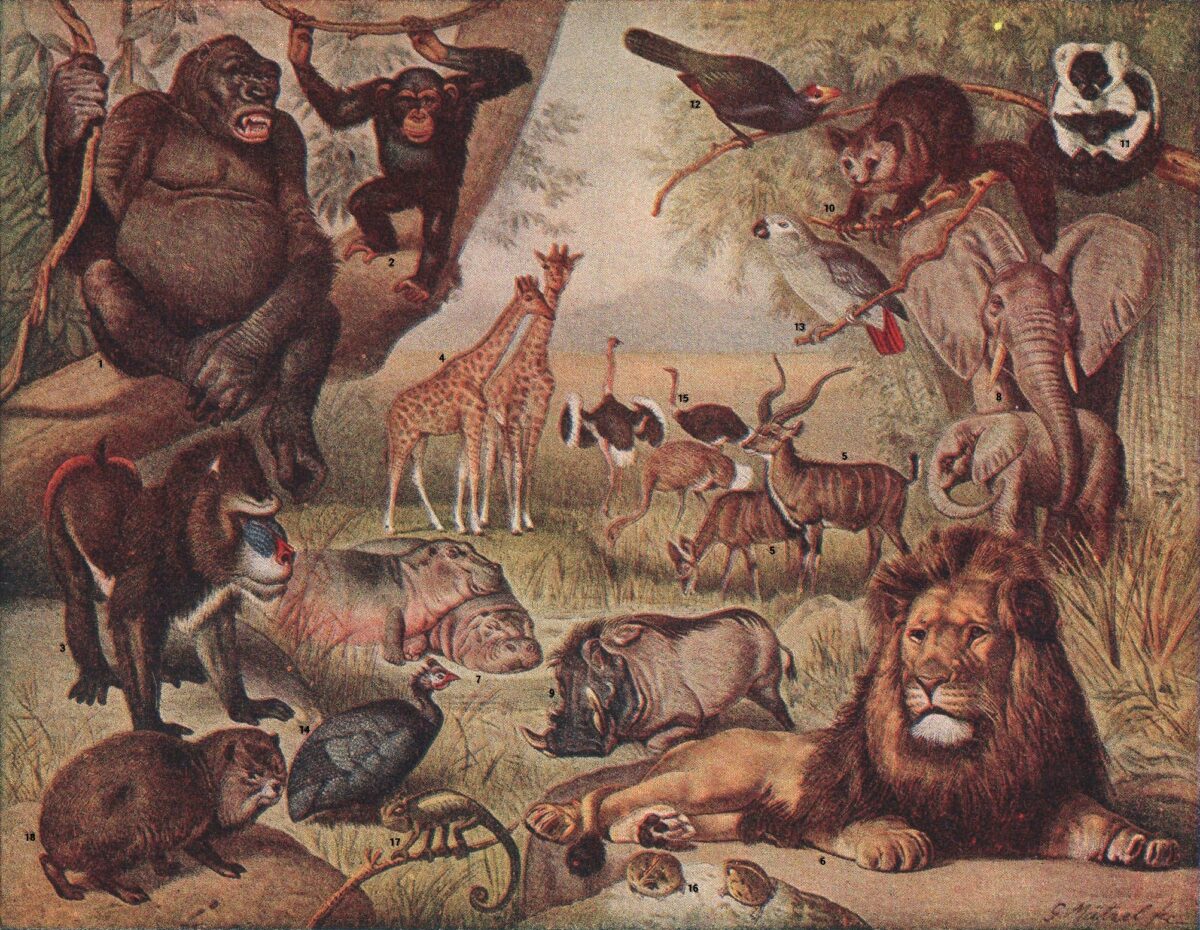 2.6. Erillisen ilmaantuminen