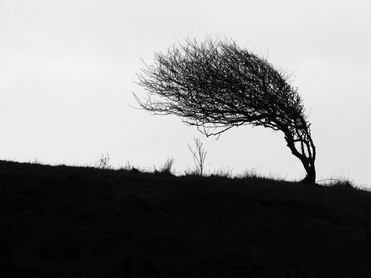 2.11. Kehityshorisontti