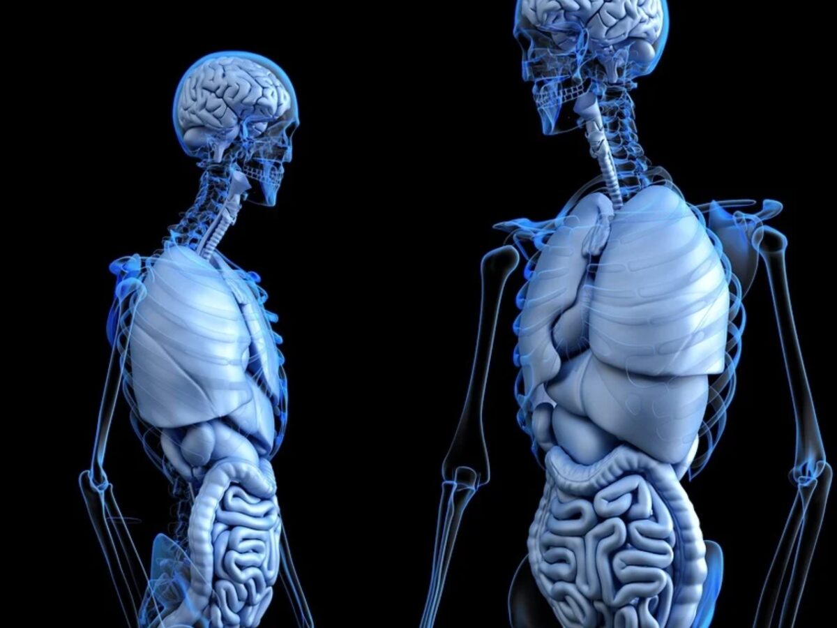 2.8.1. Geneettinen subvenienessi