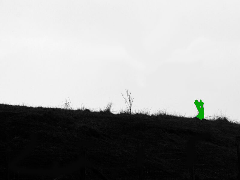 2.11.1 Geneettiset rakenteet & muutos