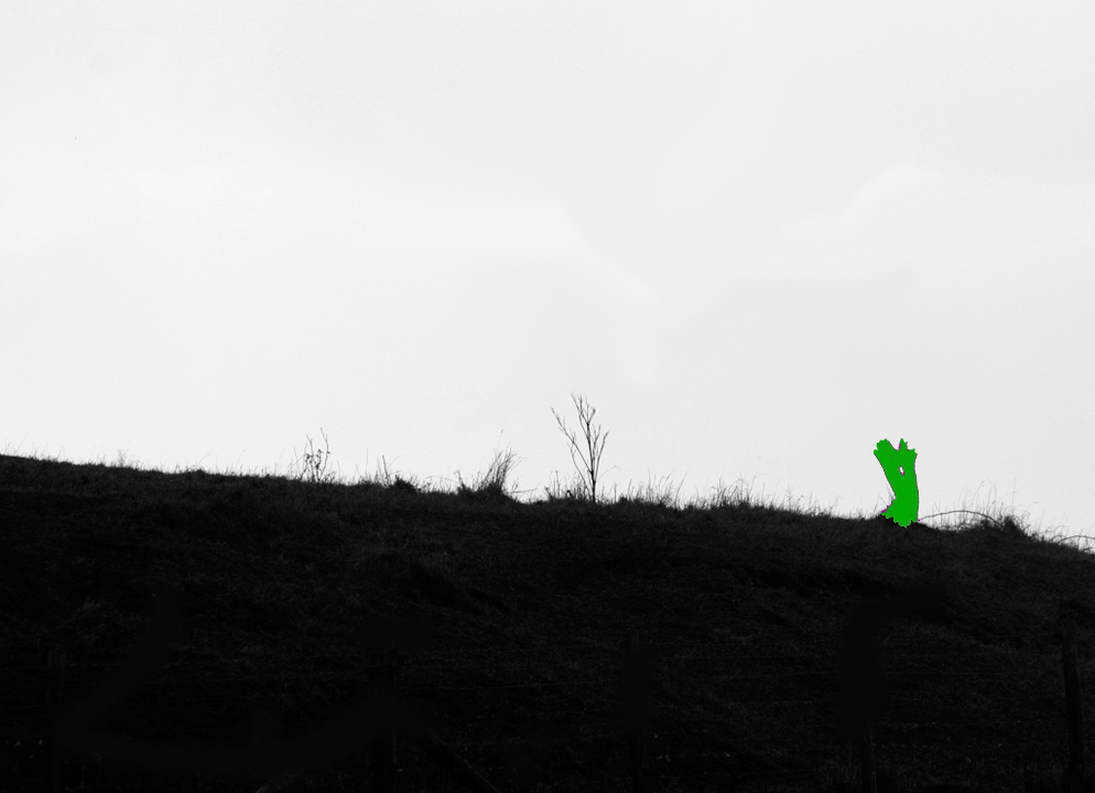 2.11.1 Geneettiset rakenteet & muutos